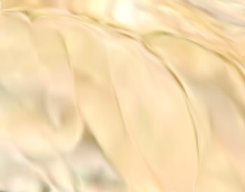 Leaf Drifting Downstream