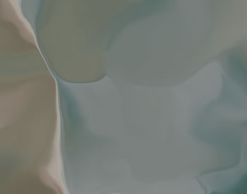 Torso
