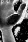 Dissolving Cloth