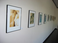 photopaintings on the wall